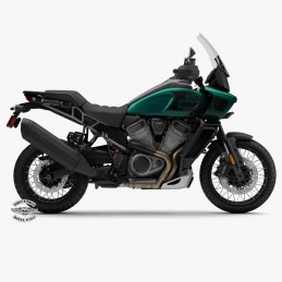 Adventure Touring Pan America 1250 Special Cerchi a Raggi -Altezza adattiva MY 24 - Alpine Green