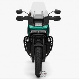 Adventure Touring Pan America 1250 Special Cerchi a Raggi -Altezza adattiva MY 24 - Alpine Green