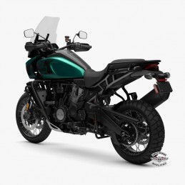 Adventure Touring Pan America 1250 Special Cerchi a Raggi -Altezza adattiva MY 24 - Alpine Green