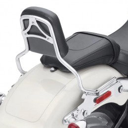 Alzata Dello Schienalino Sissy Bar Holdfast Altezza Standard-Cromato
