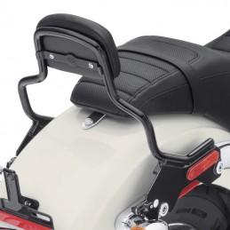 Alzata Dello Schienalino Sissy Bar Holdfast Corta-Nero Lucido