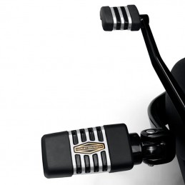 Pedale Del Settore Delle Marce Collezione '66