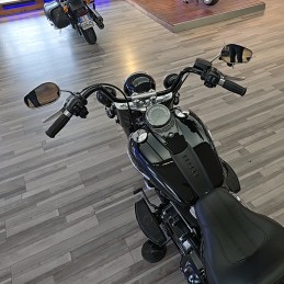 SOFTAIL HERITAGE CLASSIC 114 2019 3900km contovendita