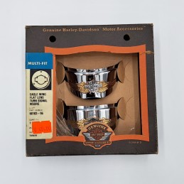 Kit-Visor,FLT Lens, 2-Tone EAGL