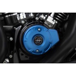 Medaglione del 250°...