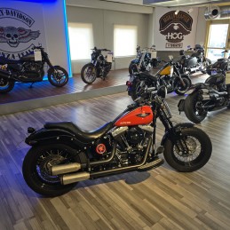 SOFTAIL CROSS BONES 2009 57000km contovendita