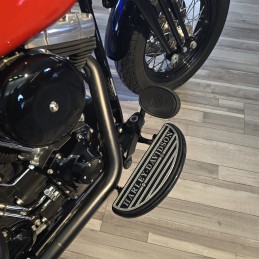 SOFTAIL CROSS BONES 2009 57000km contovendita