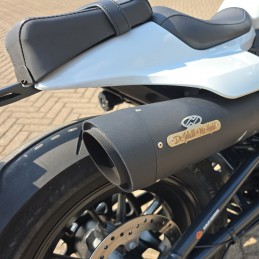 RH1250S SPORTSTER S 2021 29000 km