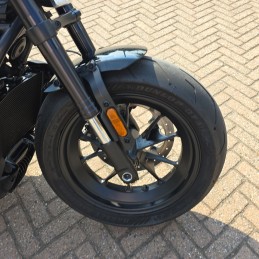 RH1250S SPORTSTER S 2021 29000 km