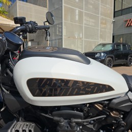 RH1250S SPORTSTER S 2021 29000 km