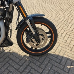SPORTSTER XR 1200 2009 17000km