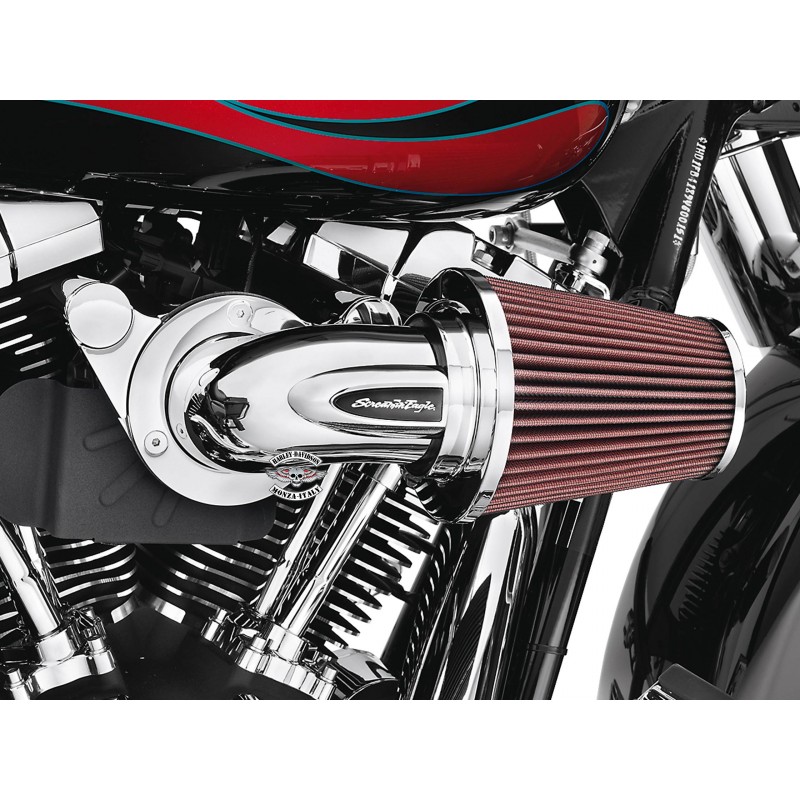 SCREAMIN'EAGLE®MEDAGLIONE DECORATIVO HEAVY BREATHER SCREAMIN' EAGLE