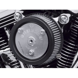 SCREAMIN'EAGLE®FILTRO DELL'ARIA SCREAMIN' EAGLE AD ALTA PORTATA – TWIN CAM