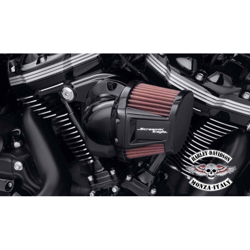 Screamin Eagle Heavy Breather Elite Air Filter Element – KDJHXQ