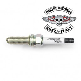 Candele Screamin' Eagle per modelli Pan America